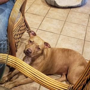 Meet your Posher, Joanie